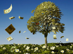 Money tree on grass with daisies.