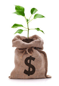 Money bag with dollar sign and money tree growing out of top iso